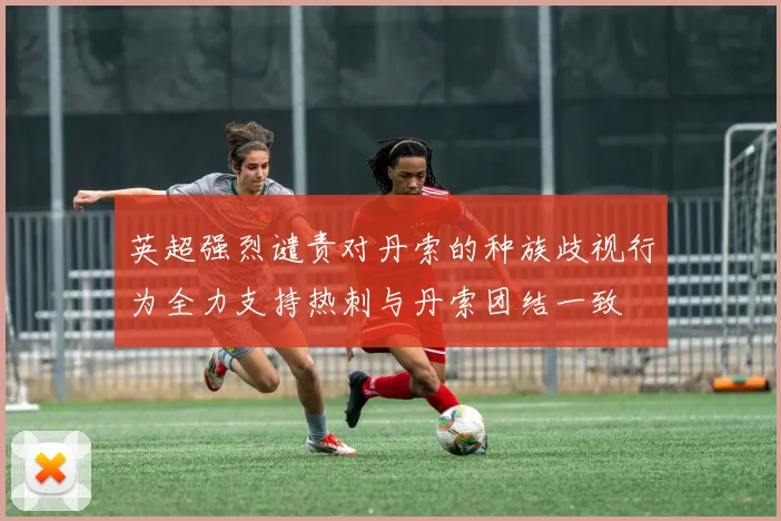 英超强烈谴责对丹索的种族歧视行为全力支持热刺与丹索团结一致